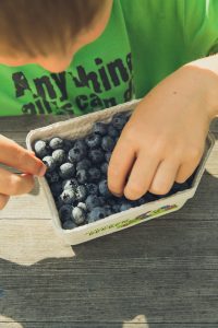 blueberries good for kids
