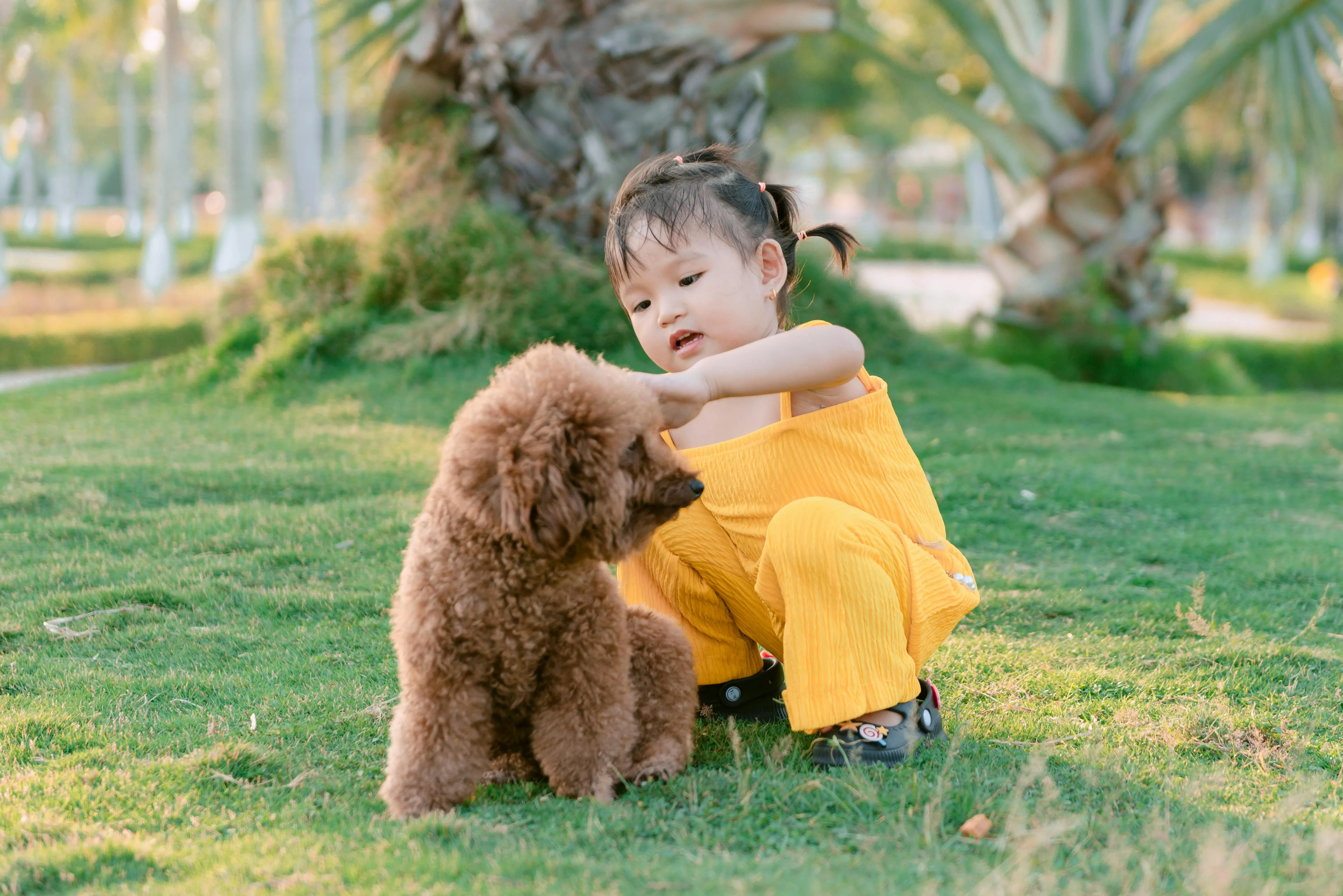 child brushing dog